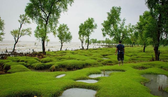 অপরূপা গুলিয়াখালী সৈকত'কে পর্যটন এলাকা ঘোষণা